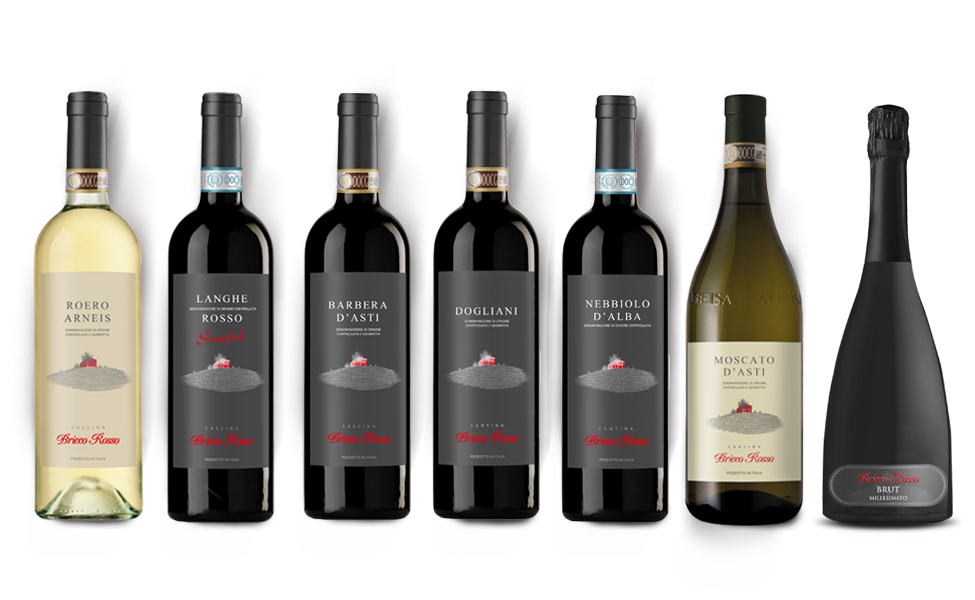 Wine cellar & wines - Bricco Rosso Azienda Agricola