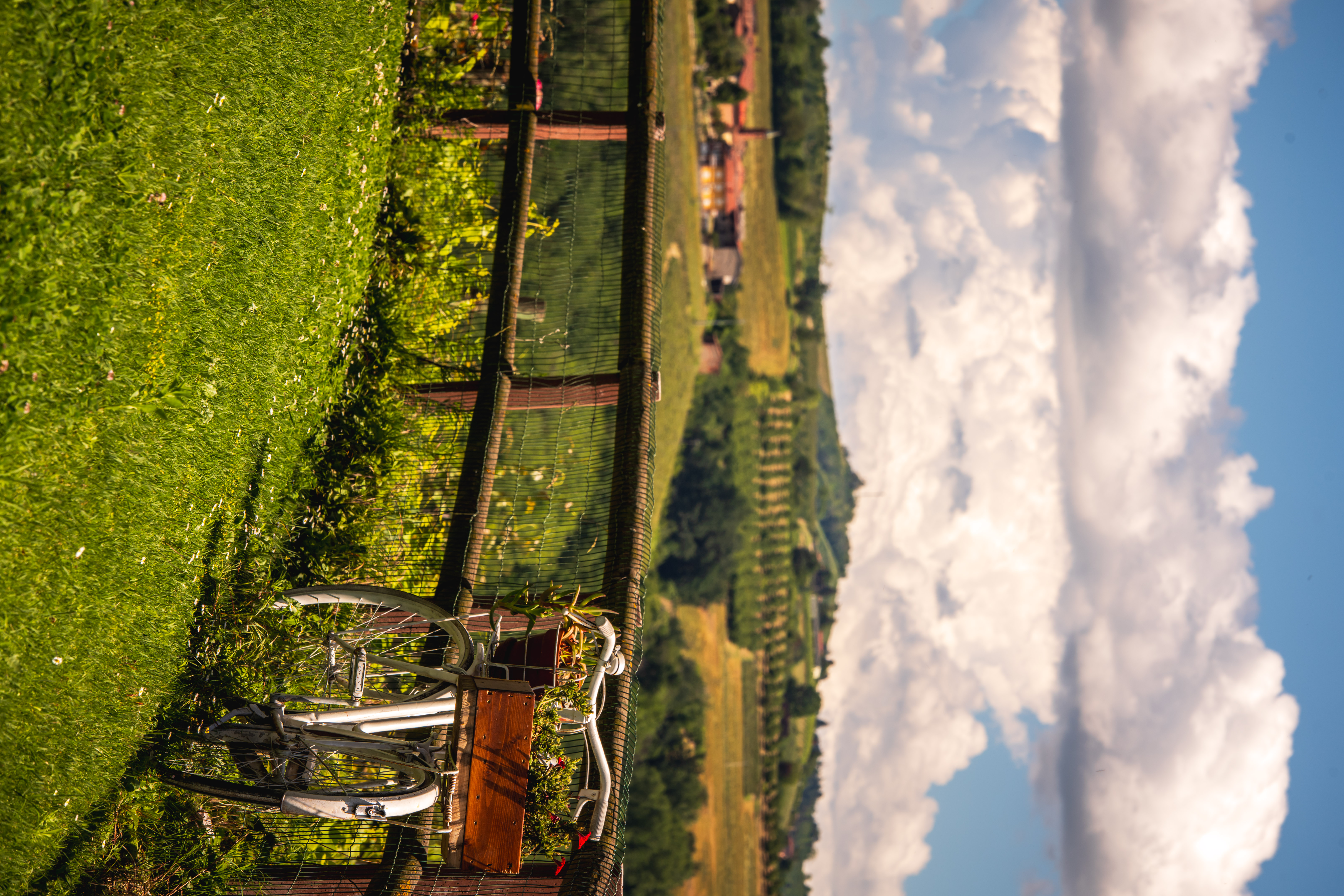 Bricco Rosso Azienda Agricola - Cantina e Agriturismo nelle Langhe